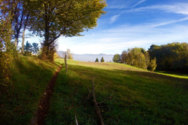 TRAIL PER TUTTI, IN COMPAGNIA DI OXYBURN: SCEGLI DOVE CORRERE SABATO 18 E DOMENICA 19 FEBBRAIO… CE N’E’ PER TUTTI I GUSTI!